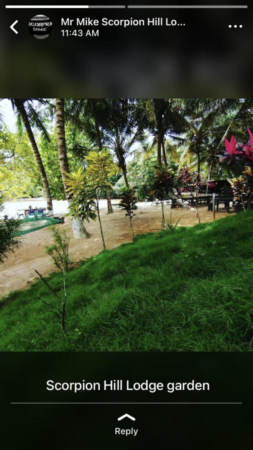 Scorpion Hill Lodge Busua Экстерьер фото